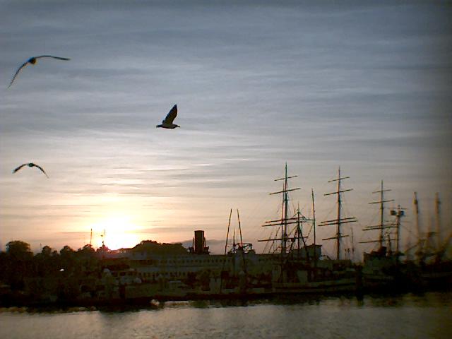 birds_at_sunset.jpg